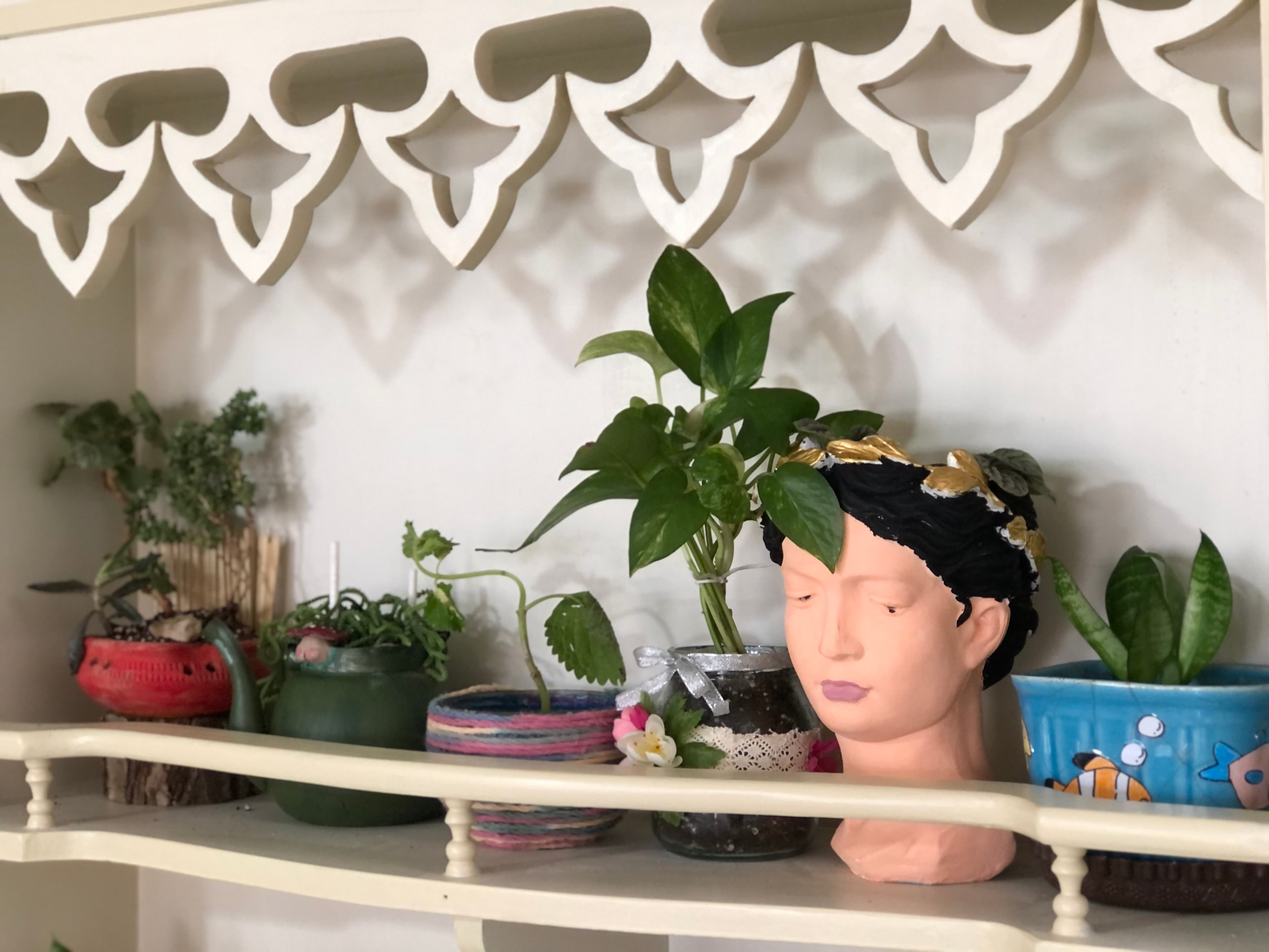 کاشت گل و گیاه درس کار و فناوری